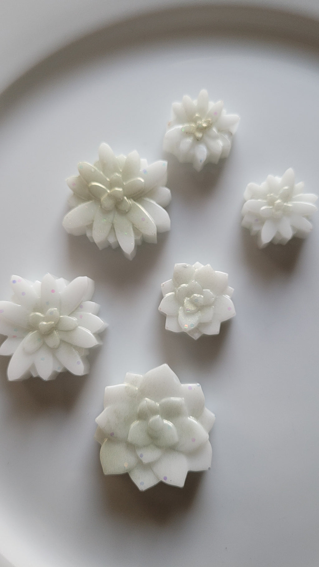 White Water lily counters